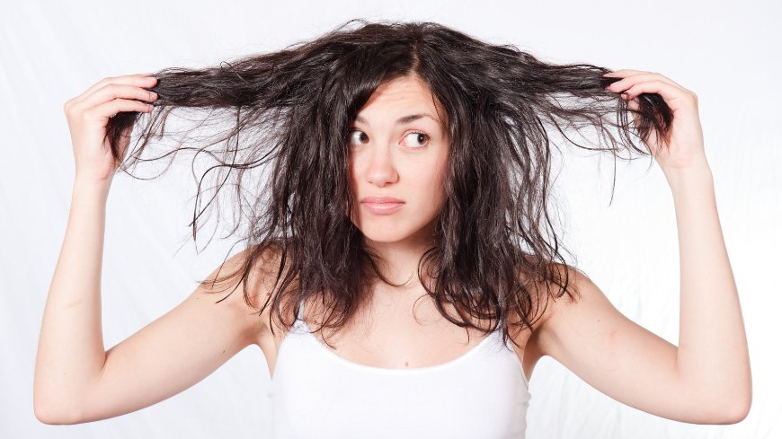 Best Hair Treatments for Winter Frizz & Dryness in Canada