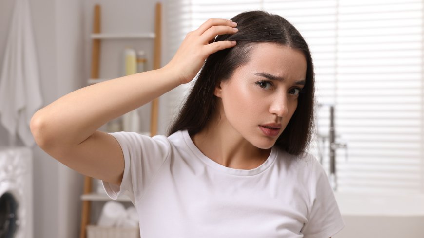 Scalp Health & Hair Growth – Why Your Barber & Salon Matter