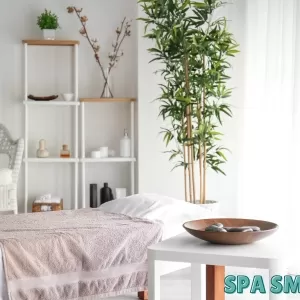 Spa Smart